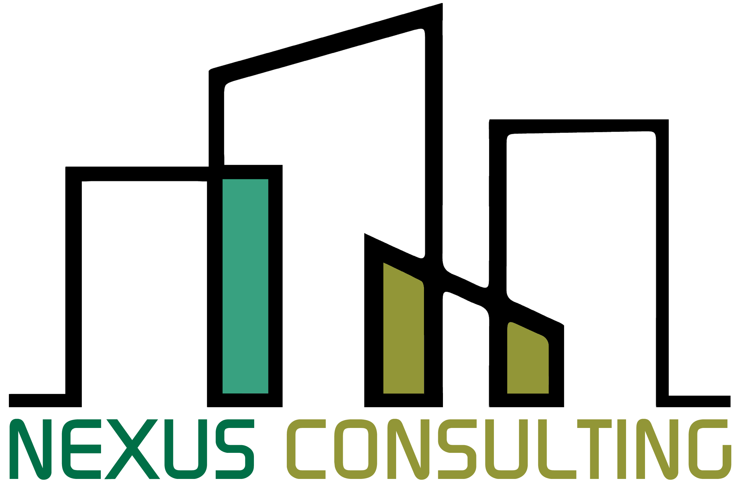 Nexus Consulting - Logo Transparent (1) (2)